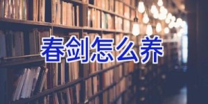 春剑怎么养