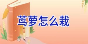茑萝怎么栽