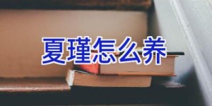 夏瑾怎么养