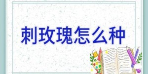刺玫瑰怎么种