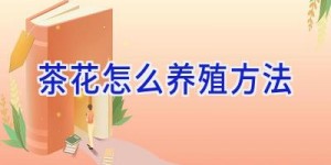 茶花怎么养殖方法