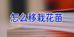 怎么移栽花苗