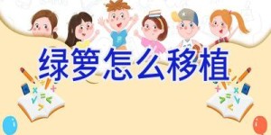 绿箩怎么移植