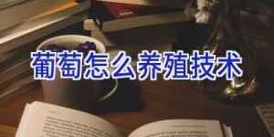 葡萄怎么养殖技术