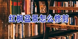 红枫盆景怎么修剪