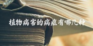 植物病害的病症有哪几种