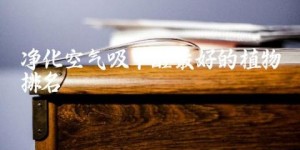 净化空气吸甲醛最好的植物排名