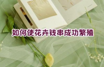 如何使花卉钱串成功繁殖