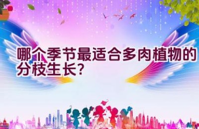 哪个季节最适合多肉植物的分枝生长？