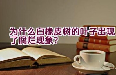 为什么白橡皮树的叶子出现了腐烂现象？