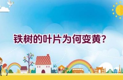 铁树的叶片为何变黄？