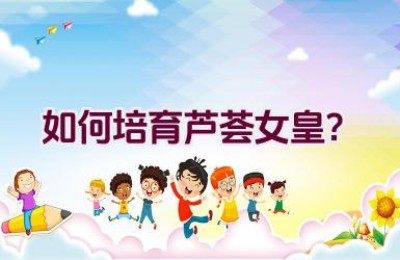 如何培育芦荟女皇？