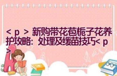 新购带花苞栀子花养护攻略：处理及缓苗技巧