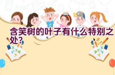 含笑树的叶子有什么特别之处？