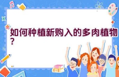 如何种植新购入的多肉植物？