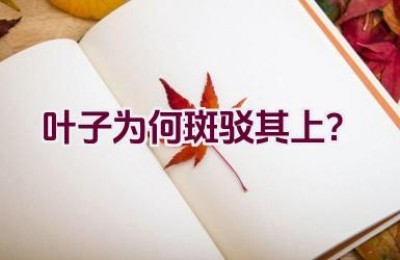 叶子为何斑驳其上？