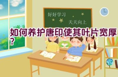 如何养护唐印使其叶片宽厚？