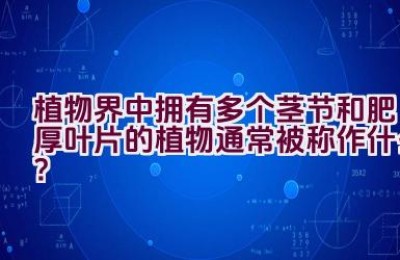 植物界中拥有多个茎节和肥厚叶片的植物通常被称作什么？