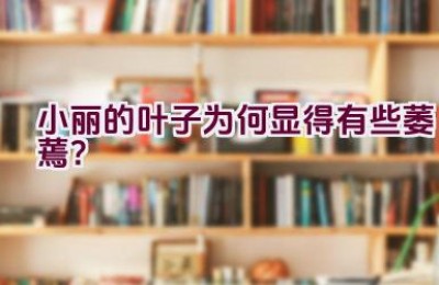小丽的叶子为何显得有些萎蔫？