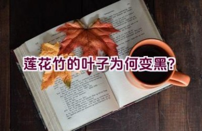 莲花竹的叶子为何变黑？