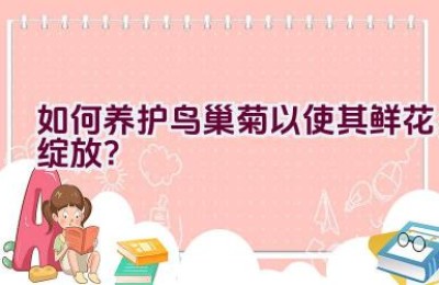 如何养护鸟巢菊以使其鲜花绽放？