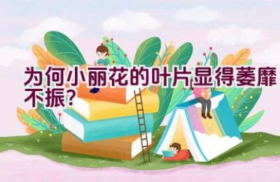 为何小丽花的叶片显得萎靡不振？