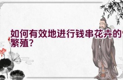 如何有效地进行钱串花卉的繁殖？