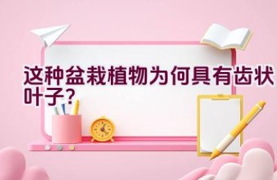 这种盆栽植物为何具有齿状叶子？