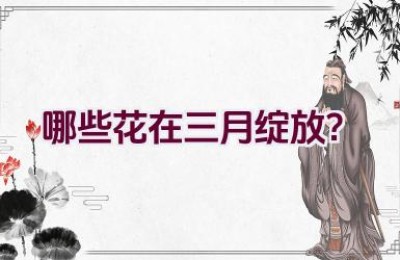 哪些花在三月绽放？