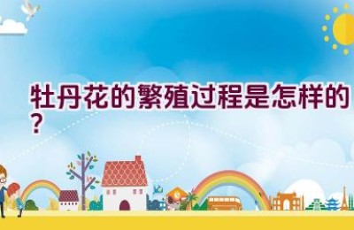 牡丹花的繁殖过程是怎样的？