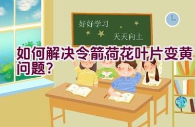 如何解决令箭荷花叶片变黄问题？