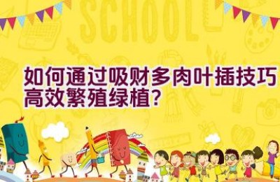 如何通过吸财多肉叶插技巧高效繁殖绿植？