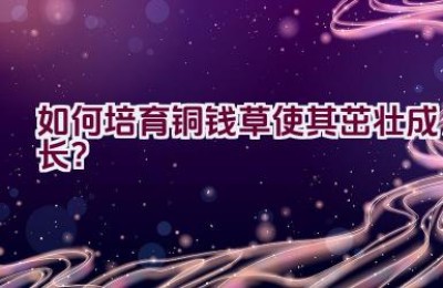 如何培育铜钱草使其茁壮成长？