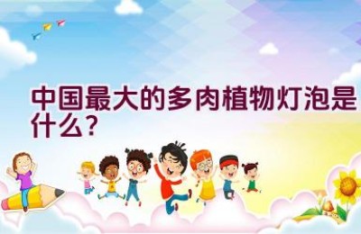 中国最大的多肉植物灯泡是什么？