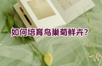 如何培育鸟巢菊鲜卉？