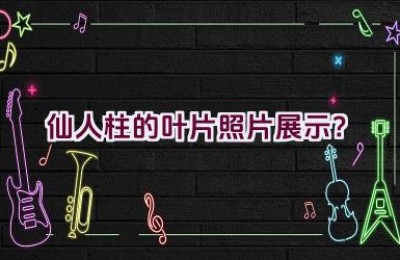 仙人柱的叶片照片展示？