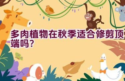 多肉植物在秋季适合修剪顶端吗？