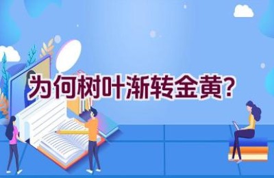 为何树叶渐转金黄？