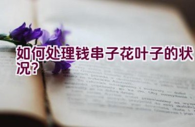 如何处理钱串子花叶子的状况？