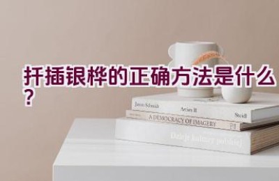 扦插银桦的正确方法是什么？