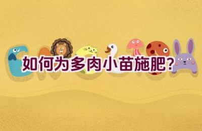 如何为多肉小苗施肥？