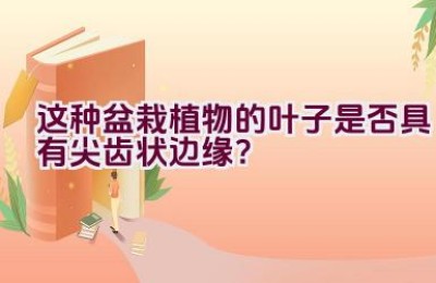 这种盆栽植物的叶子是否具有尖齿状边缘？