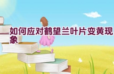 如何应对鹤望兰叶片变黄现象