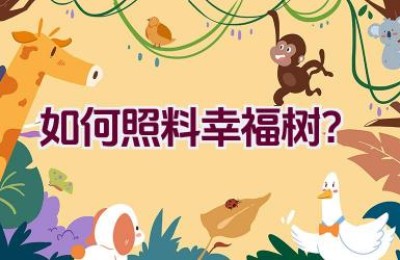 如何照料幸福树？