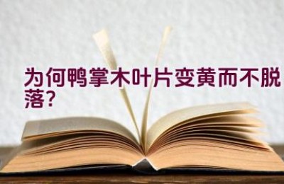 为何鸭掌木叶片变黄而不脱落？