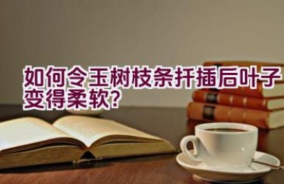 如何令玉树枝条扦插后叶子变得柔软？