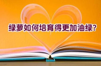 绿萝如何培育得更加油绿？