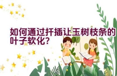 如何通过扦插让玉树枝条的叶子软化？