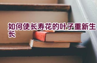 如何使长寿花的叶子重新生长