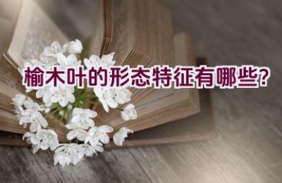 榆木叶的形态特征有哪些？